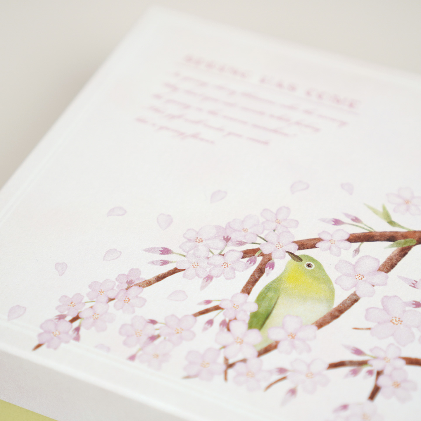春の花 -桜とメジロ-